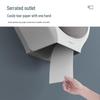 Interhasa! E51021 Wall-Mounted Jumbo Roll Toilet Paper Holder