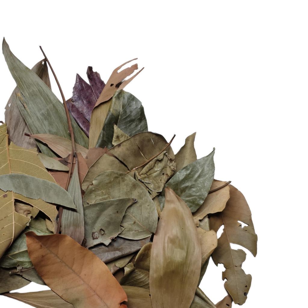 BioThai Mix Leaves - Leaves from Thailand Mix 20g