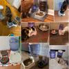 Automatischer Futter- und Wasserspender für Haustiere, Katzen- und Hundefutternapf, Wasserspender, große Kapazität, Schüssel für Katzen und Hunde, Füttern, Trinken, Katzenzubehör