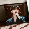LLim Young WWoong Cushion Cover Reversible Soft Durable Pillow Cover Home  Car MultiScene Use for Daily Comfort