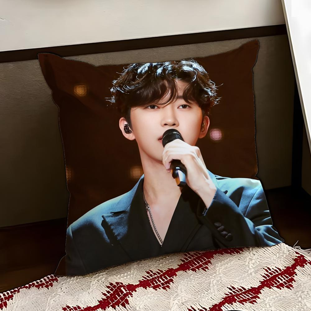 LLim Young WWoong Cushion Cover Reversible Soft Durable Pillow Cover Home Car MultiScene Use for Daily Comfort