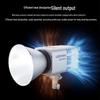 Godox LE300Bi Bi-Color LED Video Light