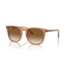 Ray Ban Clear   Brown Square Unisex Sunglasses Rb2210f 676451 53