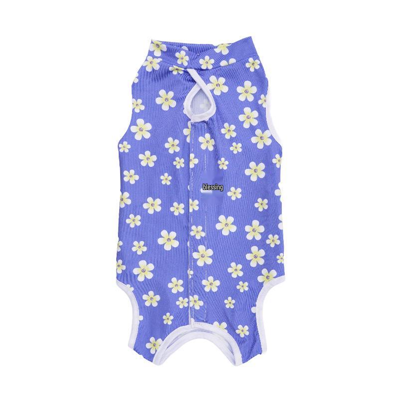 Kleidung zur Genesung nach einer Tieroperation: Katzen- und Hundebekleidung für alle Jahreszeiten