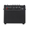 Rowin 30W Electric Guitar Amplifier with OTG and Rechargeable Portable Acoustic Guitar Amplifier with Reverb and Chorus Mic Aux and Headphone Jack for