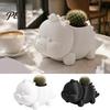 Cute Cactus Pot 3D Printed Dinosaur Shaped Succulents Pot, Planter for Small PLA Material Mini Plants, Decorative Desktop Flower Unique Gardening Gift