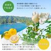 Daily Aroma Japan YUZU Premium Hand Cream from Kochi Prefecture 40g Made in Yuzu Beautiful Skin Naturally Originated [Domestic, Japan, Scent, Yuzu,