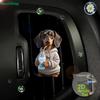 2D Flat Animal Pattern Acrylic Car Air Vent Decoration Clip| Aromatherapy Air Freshener Holder