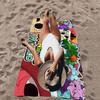 D-Dandys Worlds Cartoon Microfiber Blanket Quick Drying Beach Towels Oversized Printing Super Absorbent Pool Towel Blanket