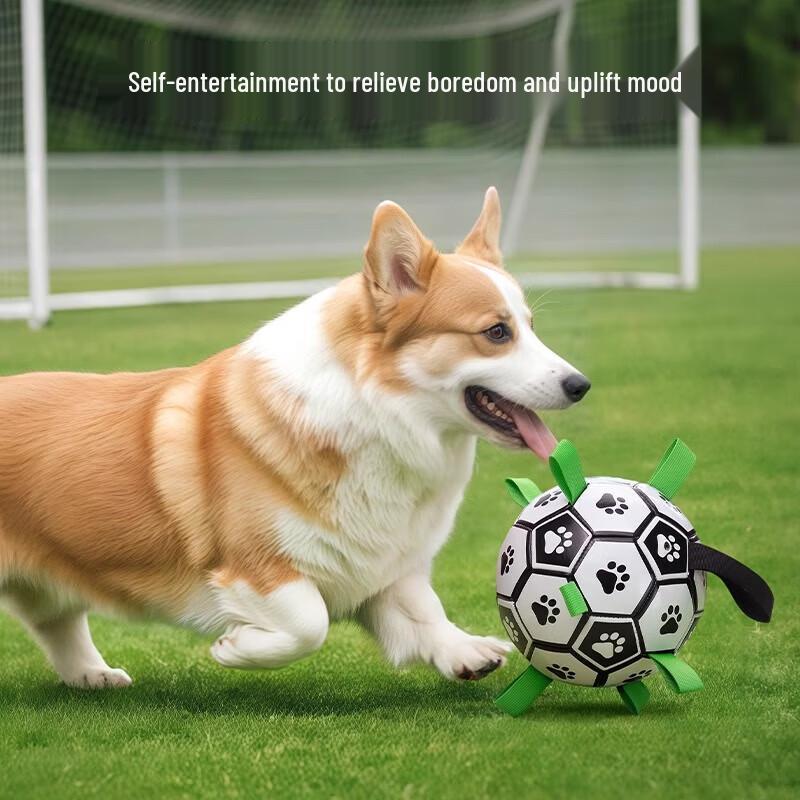 Qio Dog Training Soccer Ball