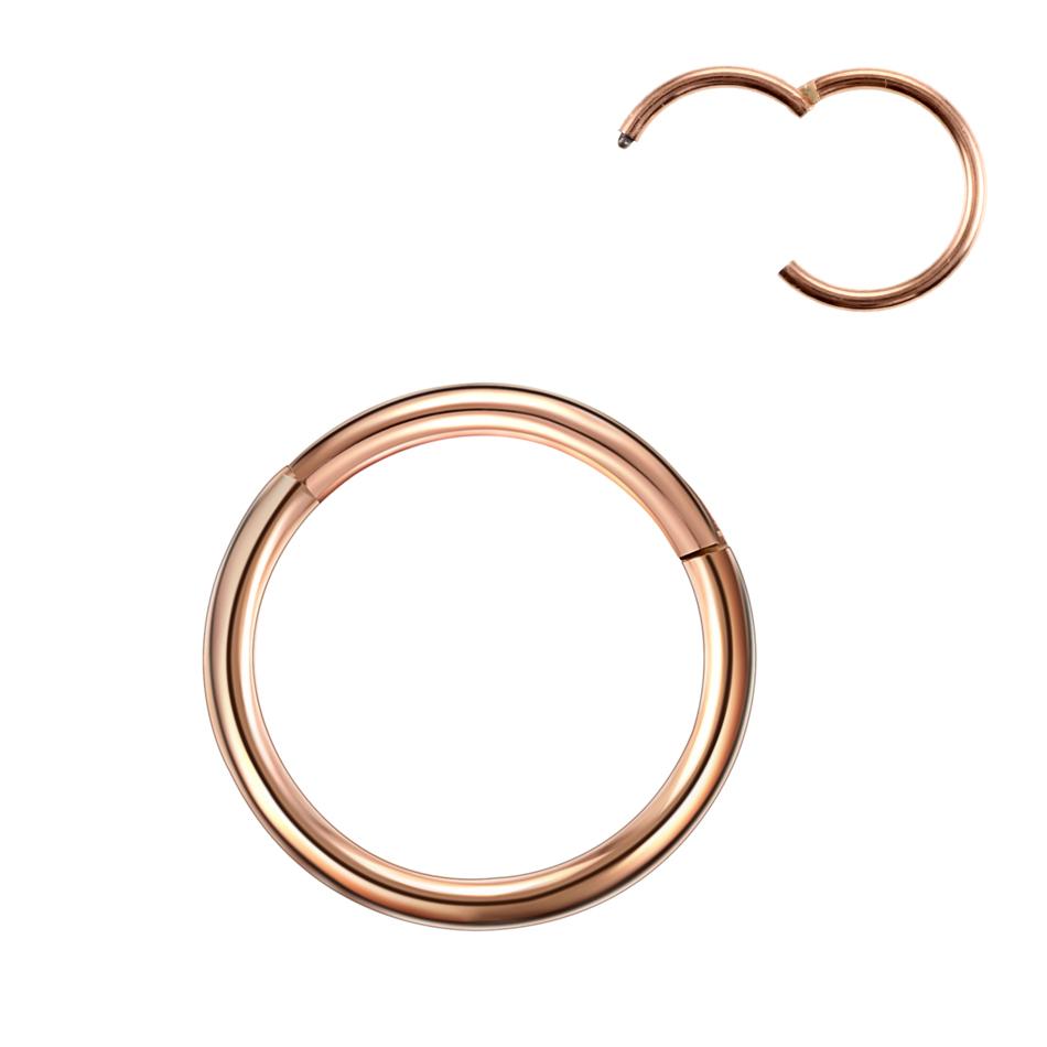 6/8/10/12mm Stainless Steel Nose Rings Hoop for Women Men 18G 16G Cartilage Piercing Body Jewelry Segment Lip Ring