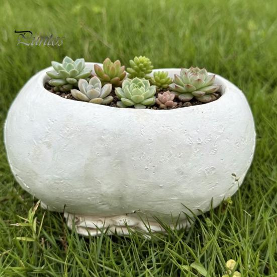 Gothic Style Gift Double Skull Flowerpot for Succulents Green Plants, Realistic Resin Planter, Small Pot Plant Halloween Party & Indoor Outdoor