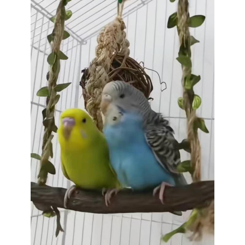 Vogelschaukelständer Vogelastständer Papagei Seilschaukel Hängendes Spielzeug Vogelstangen Käfigspielzeug Trainingsständer Halter Übung