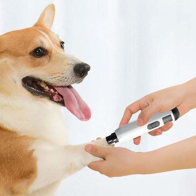 Köpek – Köpek bakım ürünleri