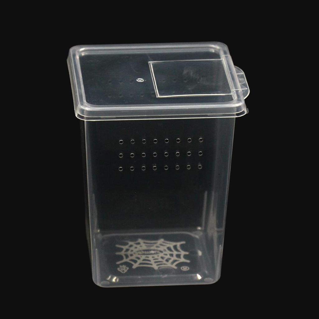 Amphibious Terrarium: For Reptile, Frog, Salamander, Snail, Silkworm, & Spider Rearing
