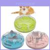 Cat Maze Feed Toy With Abs Material For Interactive Play And Energy Burnoff