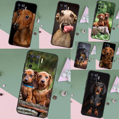 Fundas para móviles – Parachoques para smartphones