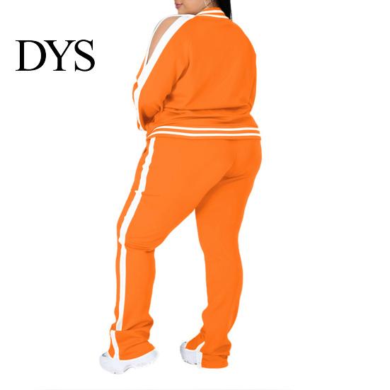 Dames Effen Kleur Casual Outfit 2 Delen/Set Joggingpak Grote Maten Ritssluiting Lange Mouwen Dagelijkse Kleding Tweekleurig Trainingspak met Broek