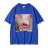 Dih Brainrot Gen Z Pig Funny Meme T Shirt Unisex Women Clothing Casual Humor Tshirts Unisexs Oversized Cotton Short Sleeve T Shirts