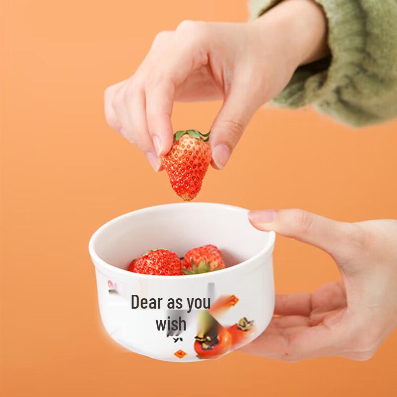ZIPOYA All Wishes Come True Ceramic Fresh-keeping Bowl Set