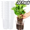 10/30Pcs Plant Nursery Pot Transparent Flowerpot Thickened Seedling Cup Gardening Transplantation Potted Flower Pot Garden Tool
