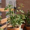 Thickened Plant Climbing Trellis Butterfly Shaped Vine Climbing Rack  Potted Plants
