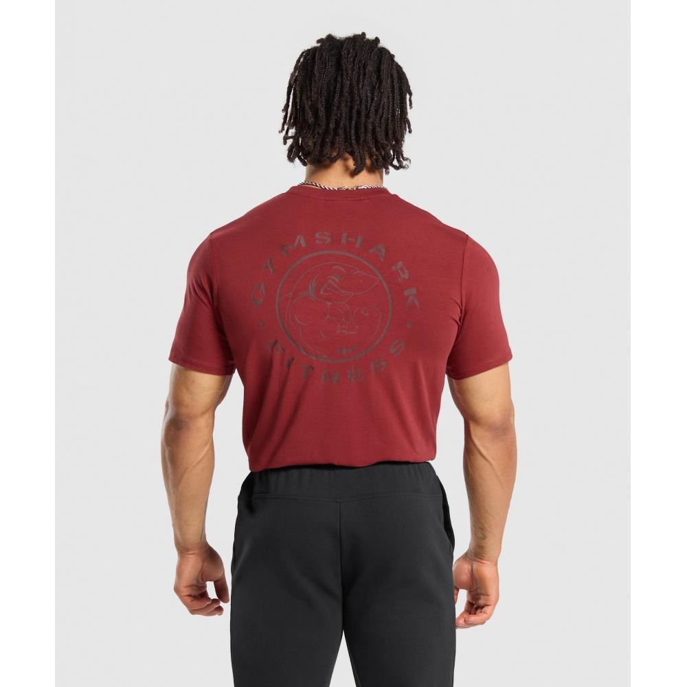 

Футболка GYMSHARK Legacy мытый красный A5A3B RBS5 S