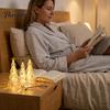 Safe Plastic Night Light Lighted Christmas Tree Ornaments, Mini Xmas Light, Battery Operated Bedroom Decoration Table Lamp, Decorative LED Centerpiece
