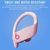 Beats Powerbeats Pro kabellose Ohrhörer mit Apple H1 Chip