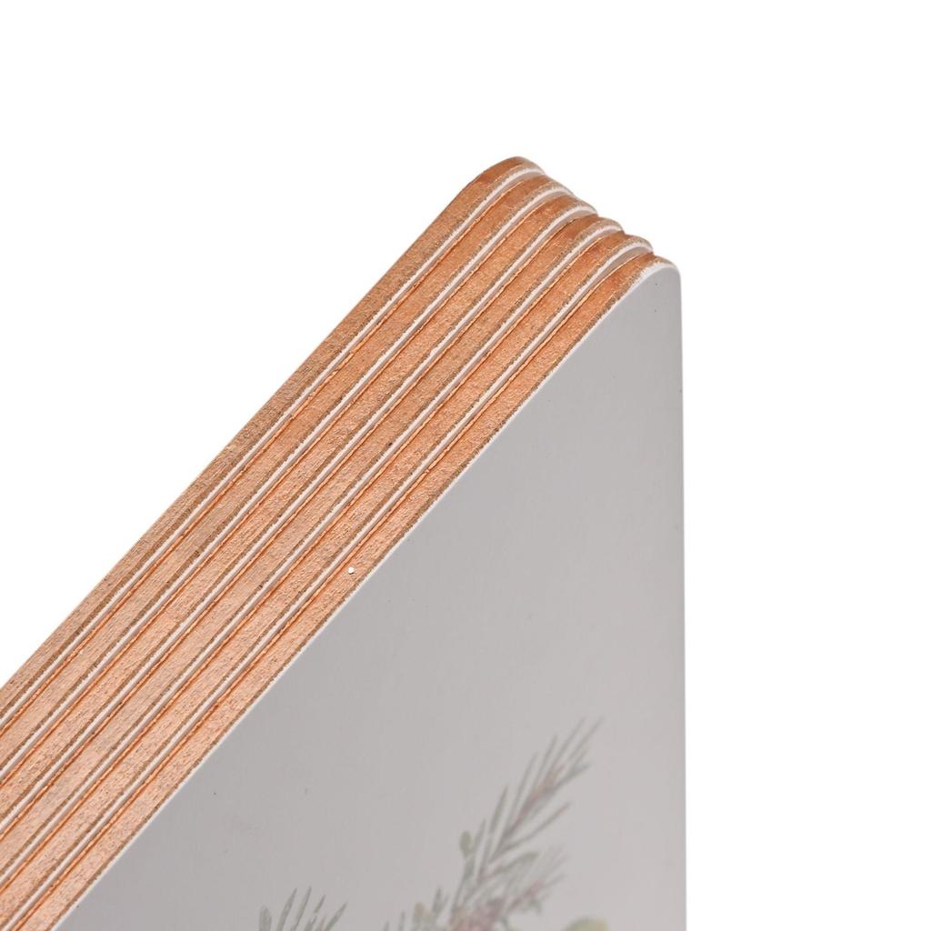 Set of 4 Robin Placemats