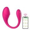 Wireless Silicone Rabbit Vibrator with Remote - Wearable Intimate Toy for Women