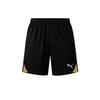 Puma Teamgoal Training Shorts Pants Black 705752 28
