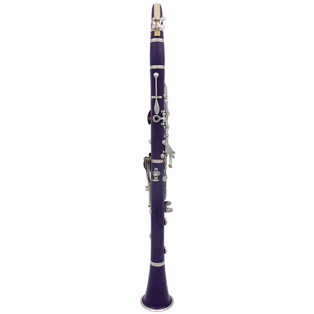 Clarinet ABS 17 Key bB Flat Soprano Binocular Clarinet with Cleaning Cloth Gloves 10 Reeds Screwdriver Reed Case