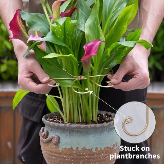 Monstera Plant Stabilizer Metal Plant Stem Holder Indoor Plant Support Stem Stabilizer for Garden Flowers Potted Plants Thriving Growth