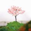 1/5PCS DIY Crafts Miniature Cherry Flower Tree Model Resin Terrarium Accessories Bonsai Decoration Bonsai 6.5cm Micro Plant