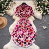 Printed Short-sleeved Dress Women's Summer Waist and Thin A-shaped Skirt Commuter Temperament Shirt Skirt