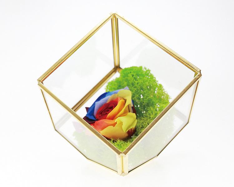 Small Retro Cube Glass Greenhouse for Preserved Flowers and Succulents