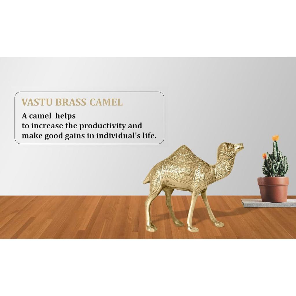 Brass Camel Statue | Height-16 cm Aprrox | Vastu Idol for Home and Office | Zonal Placement-West/WNW | Camel Statue for Vastu
