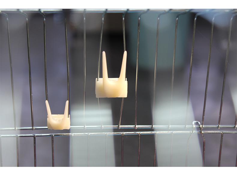 Parrot Cage Fruit Fork - Plastic Bird Utensils for Small Birds & Cage Accessories