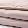 Mercury Home Textiles DH Kor Anti-Bacterial Anti-Mite Composite Goose Down Quilt