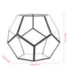 Geometric Shape Glass Flowerpot Succulents Plant Planter Container Decor Landscape Display   Decor