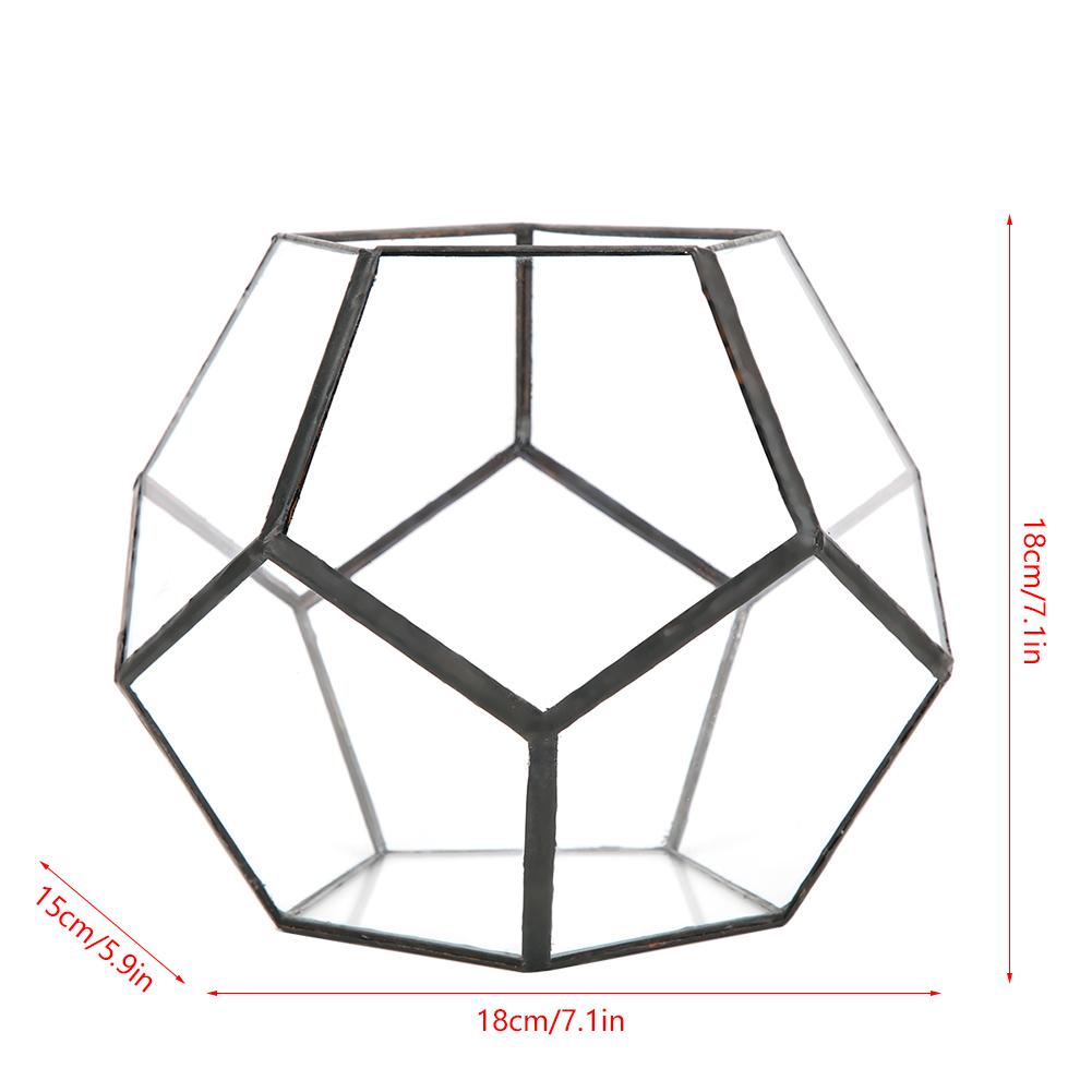 Geometric Shape Glass Flowerpot Succulents Plant Planter Container Decor Landscape Display   Decor