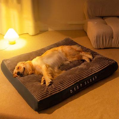 Psy – Boudy, lehátka, pelíšky