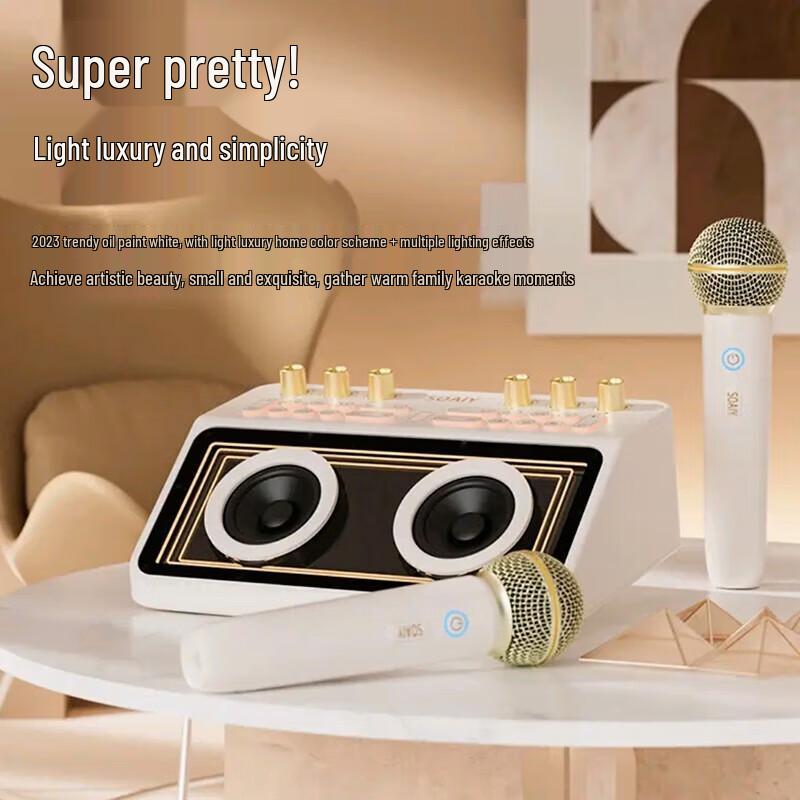 Soaiy SG12 KTV & Guitar All-in-One Sound Card Speaker