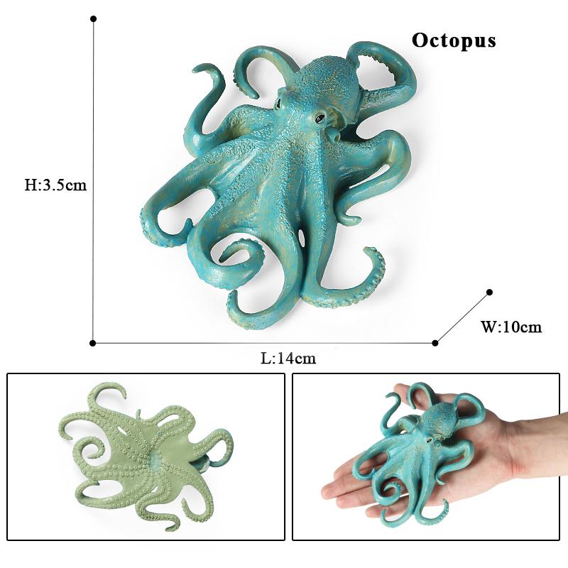 Oenux Marine Molluscs Model Simulation Squid Octopus Growth Cycle Action Figure Sealife Animals Education Collection Kids Toy