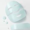Goodal Eoseongcho Hyaluronic Soothing Gel Mask (1 sheet)
