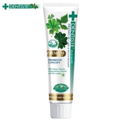 Premium Care Diş Macunu Tüpü 100 gr. - Tay