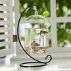 5/10pcs Iron Stand Christmas Bauble Holder Ornaments Hanging Display Stand Metal Shape Hanger Plant Stand Wrought Flower Basket