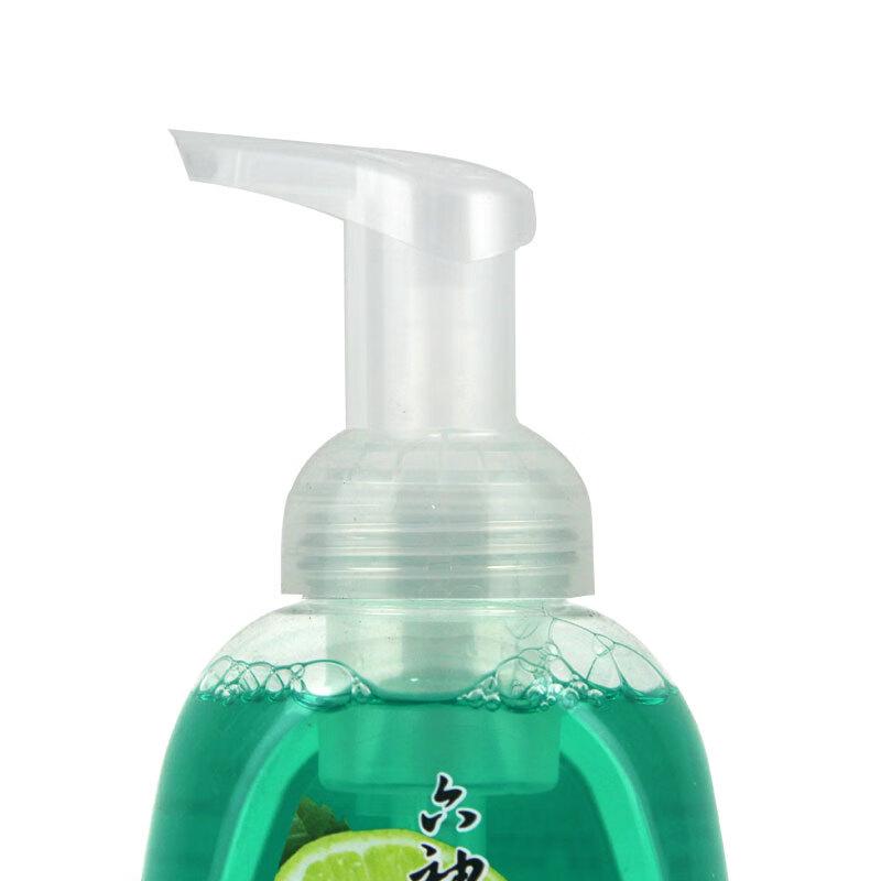 Liushen Foaming Hand Wash - Wormwood & Lime
