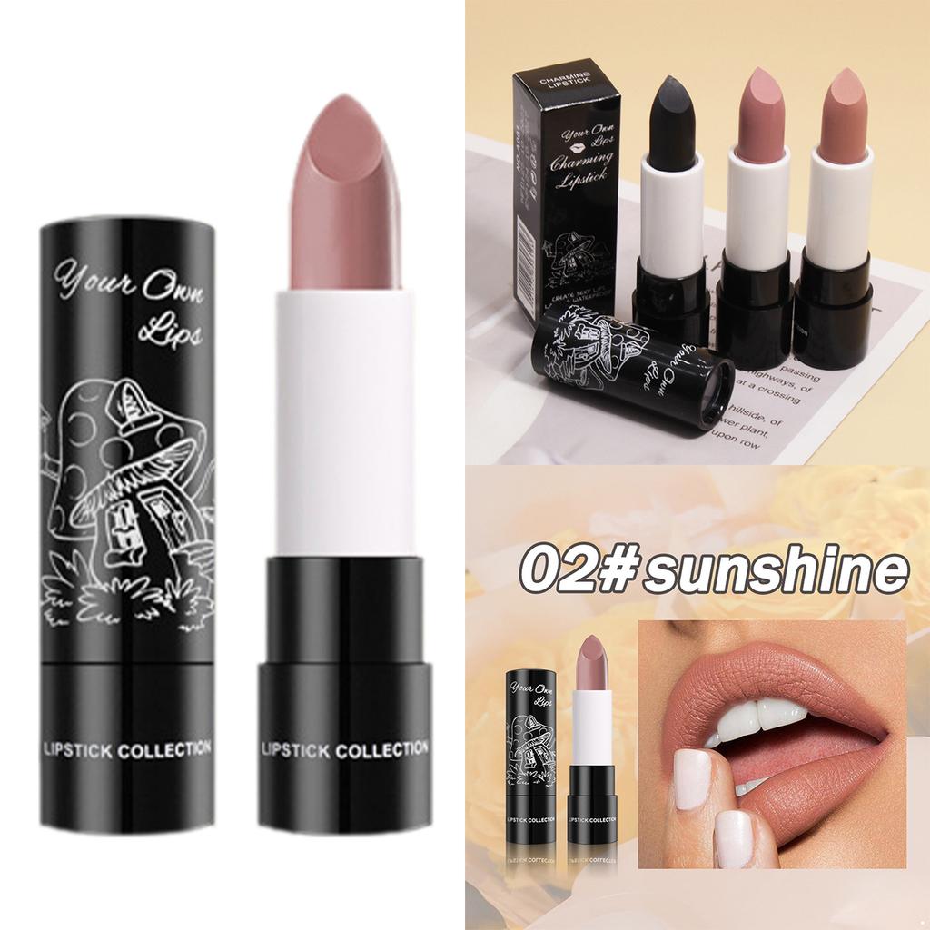 Velvet Matte Lipstick 1PC High Pigment Color Rich Long Lasting Waterproof Non Transfer Lip Makeup Soft Feel Lipstick for Women Girls Beauty Gift